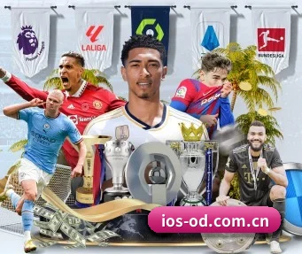 od体育 APP(OD Sports)